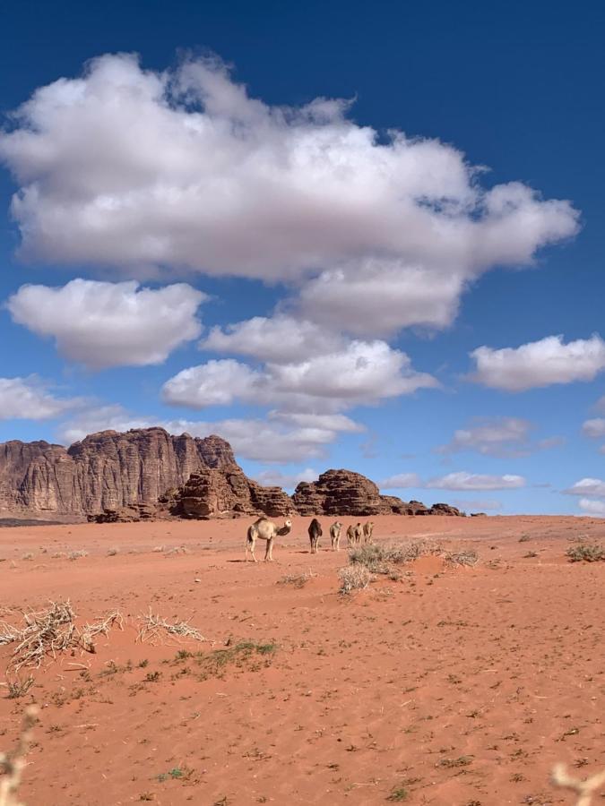 Wadi Rum Story Exterior photo