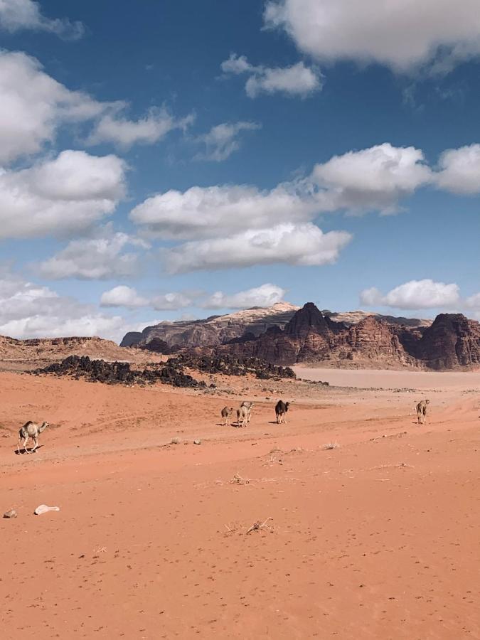 Wadi Rum Story Exterior photo